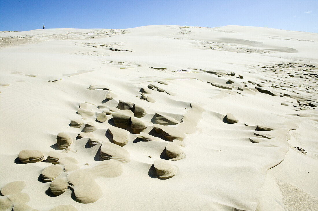 Sand dunes, Raabjerg Molle, Jutland, Denmark