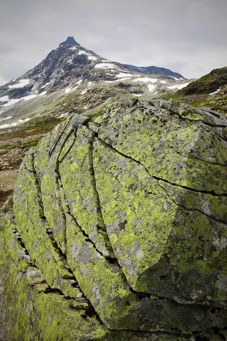 Stone with cracks and lichens