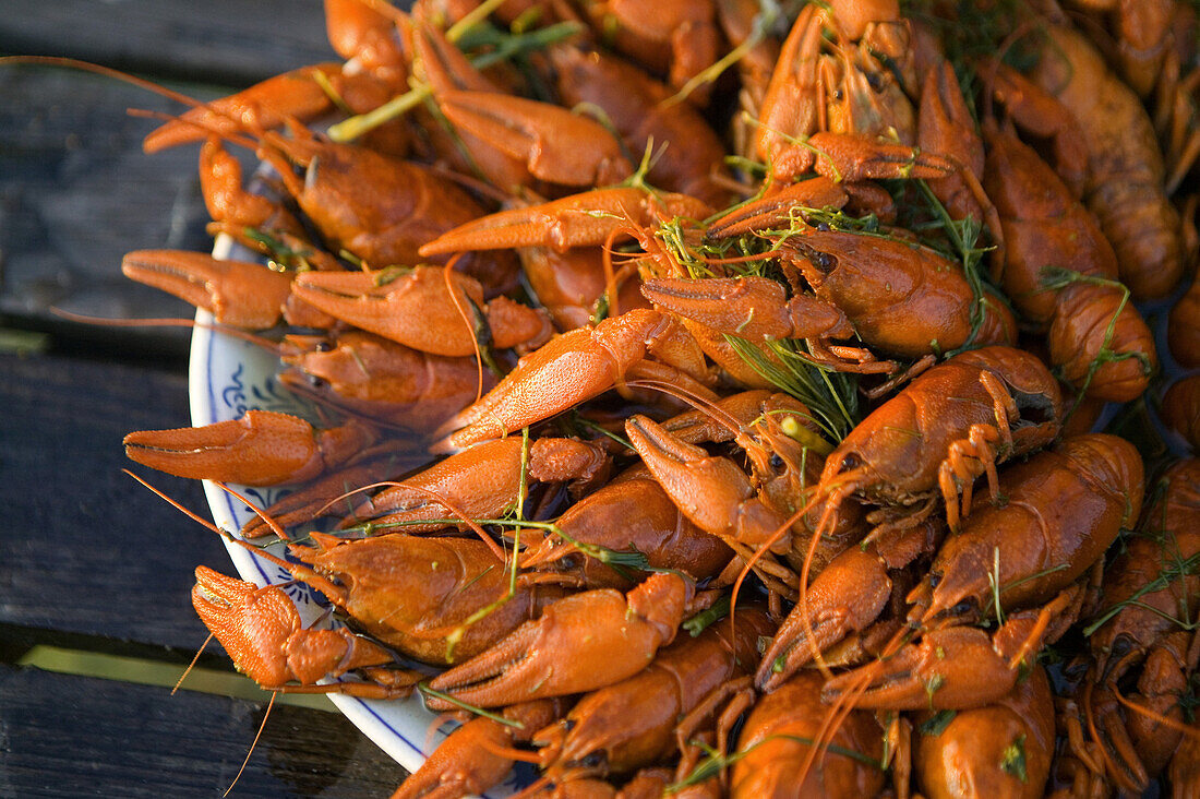 Boiled crayfishes on a dish