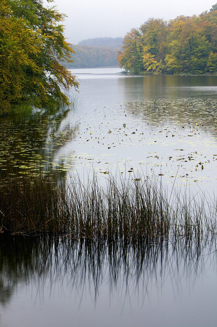Hackeberga lake in autumn, Sweden