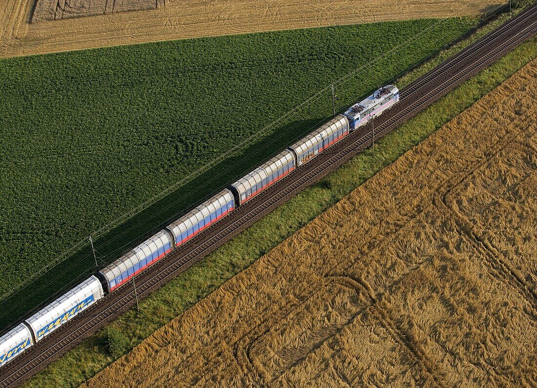 Train drives through agriculture landscape