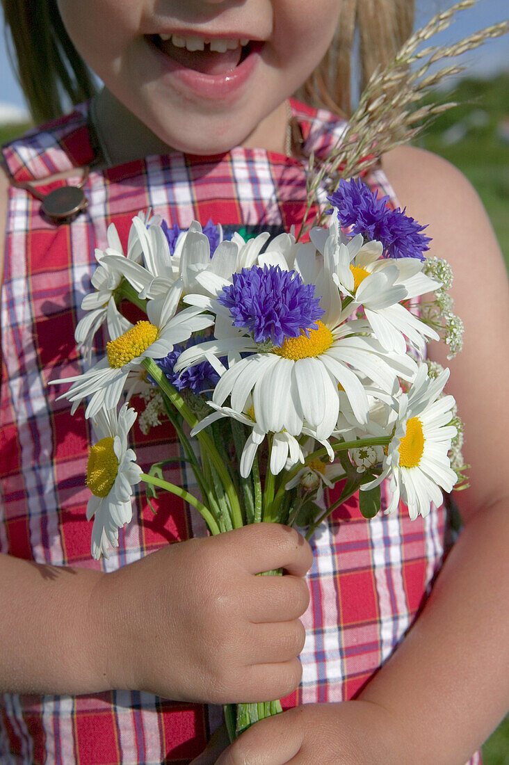 Girl has picked a bouquet of daisies and cornflower