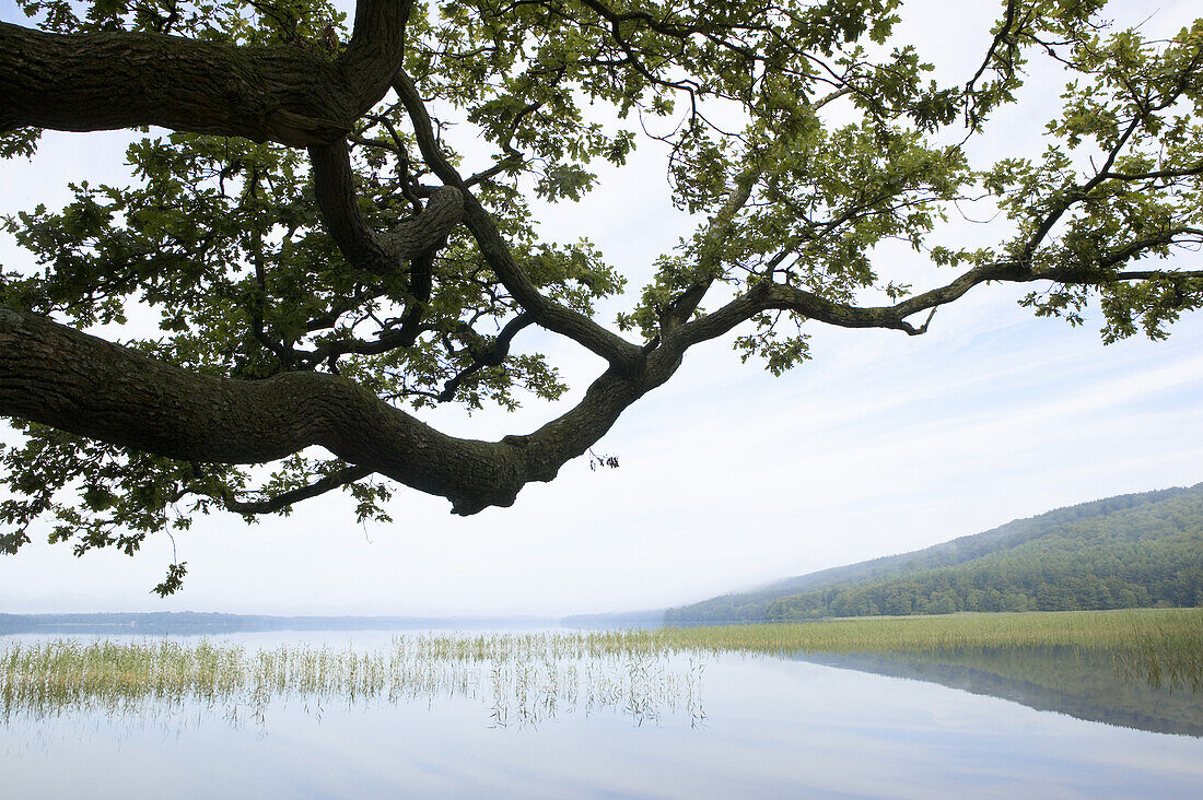 Vastersjon, angelholm, Skane, Sweden