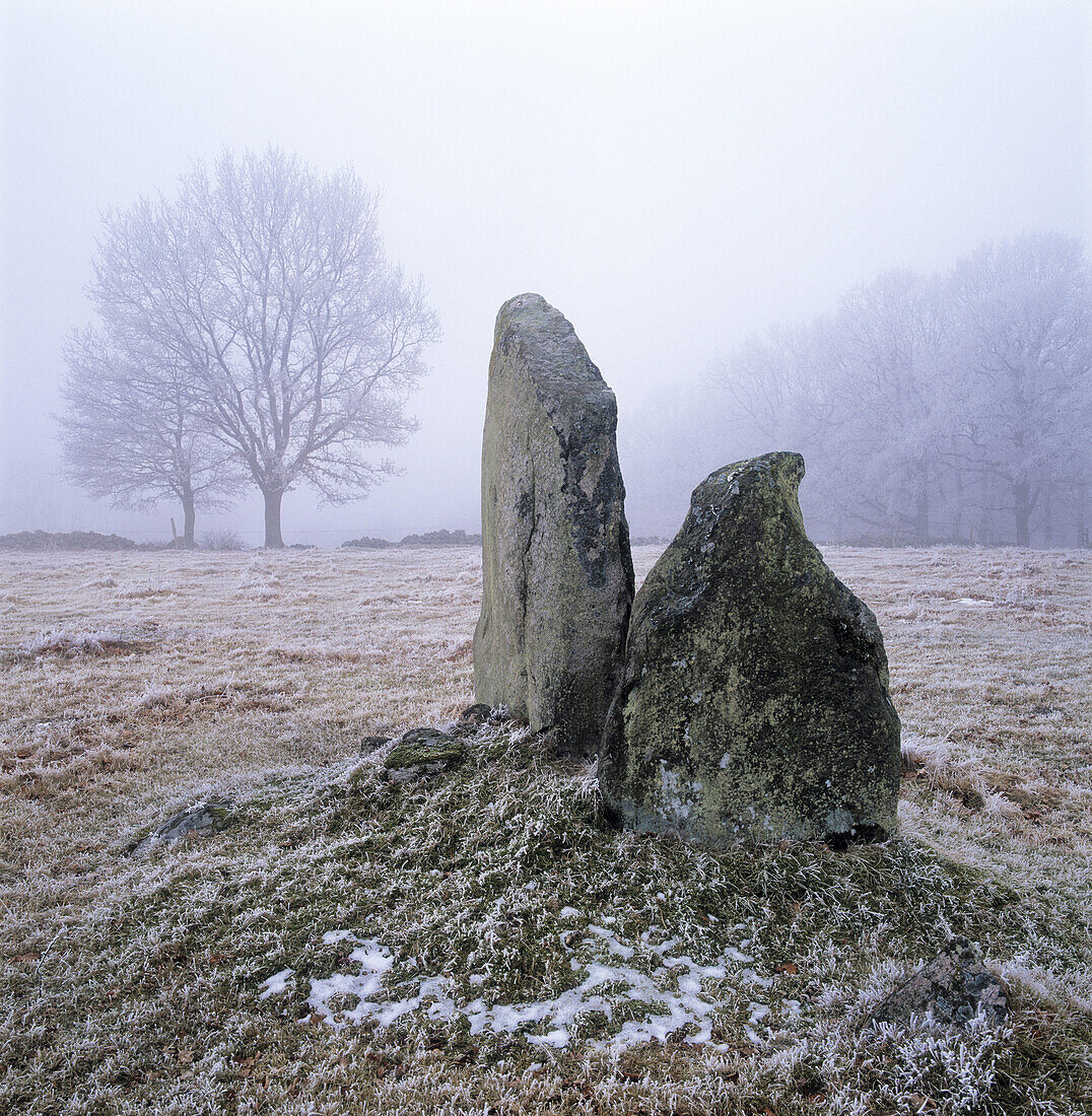 Prehistoric burial ground, Sweden