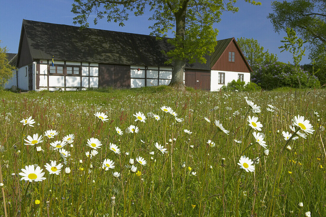 Frame house, Sweden