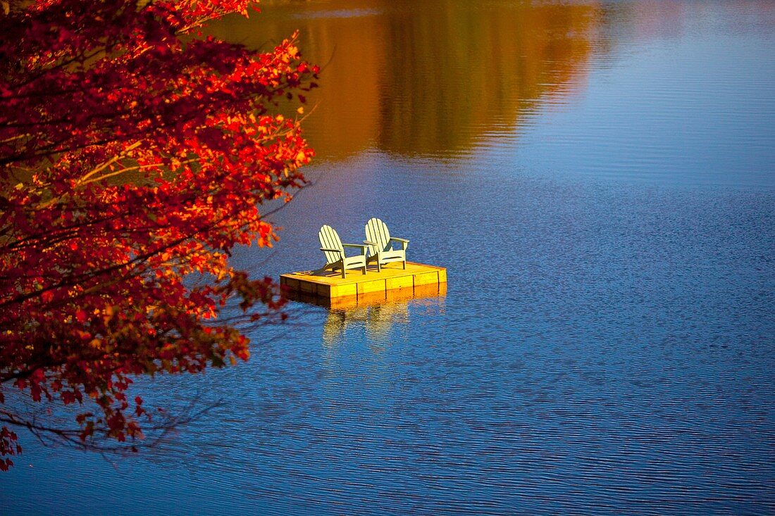 red maple, lake, dock