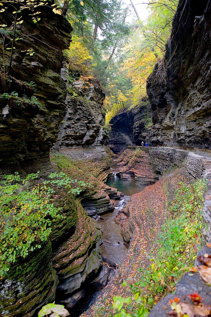 Watkins Glen State Park Finger Lakes Region New York Lake Seneca