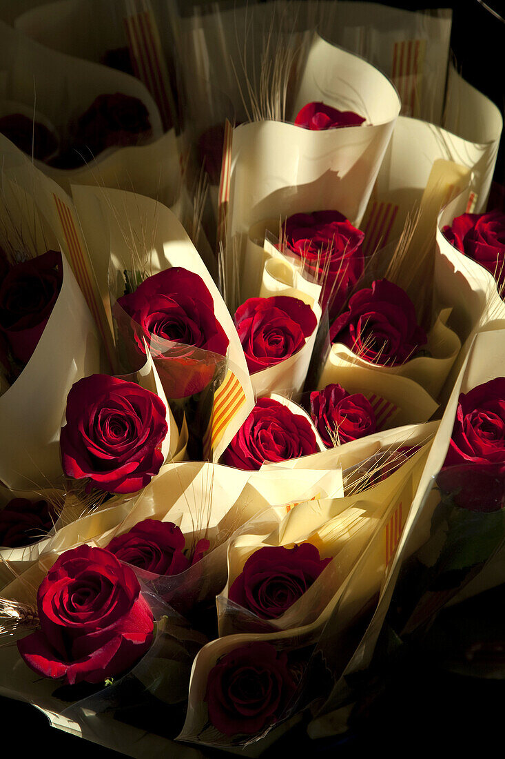 Red roses, St George´s Day Catalan holiday