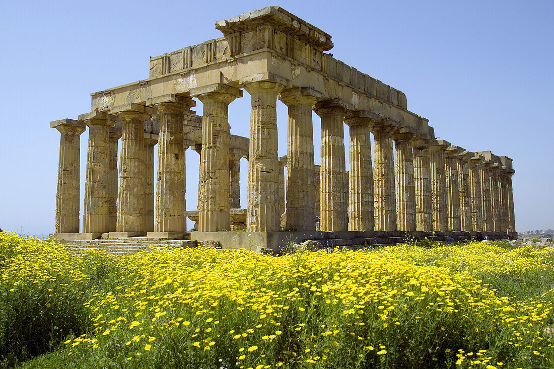 Ancient Greek Temple Selinunte archaeological site Sicily Italy