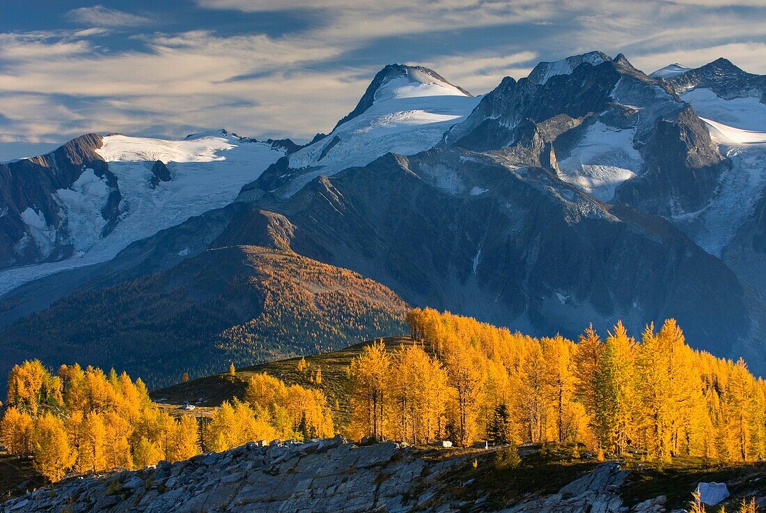 View of the Truce Group from Monica Meadows, Purcell Mountains British Columbia Canada