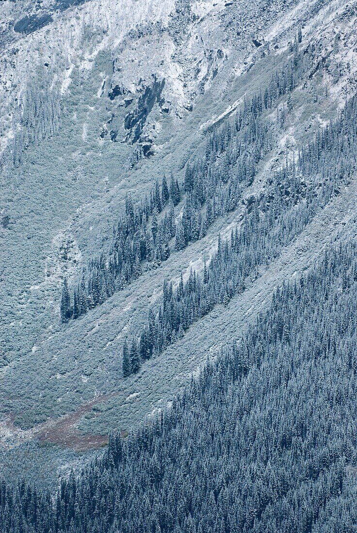 Fresh dusting of snow on avalanche slopes of the Purcell Mountains British Columbia Canada