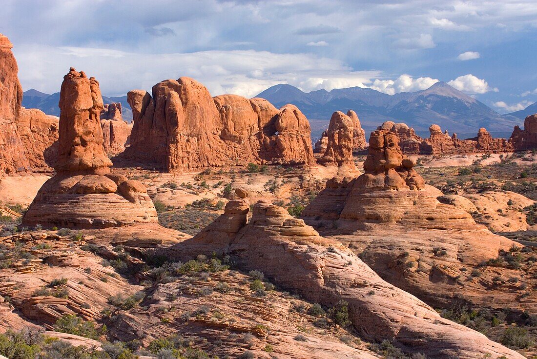 Sandstone pinnacles with the Manti Lasal Mountains in the distance, Arches National Park Utah USA