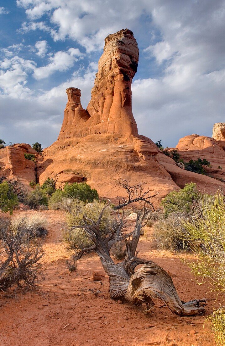 Sandstone fins, Arches National Park Utah USA