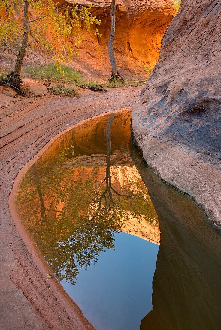 Reflecting pool in Choprock Canyon, Grand Staircase Escalante National Monument Utah