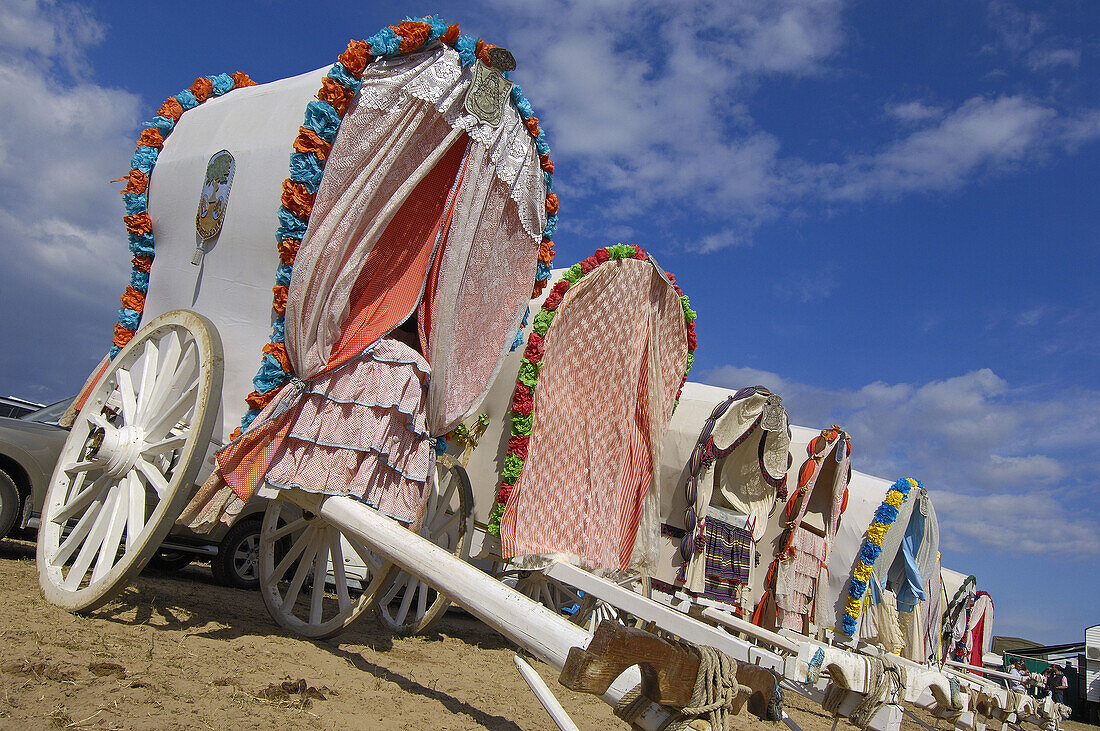 Typical carriages, ´romería´  pilgrimage) to El Rocio. Almonte, Huelva province, Andalucia, Spain