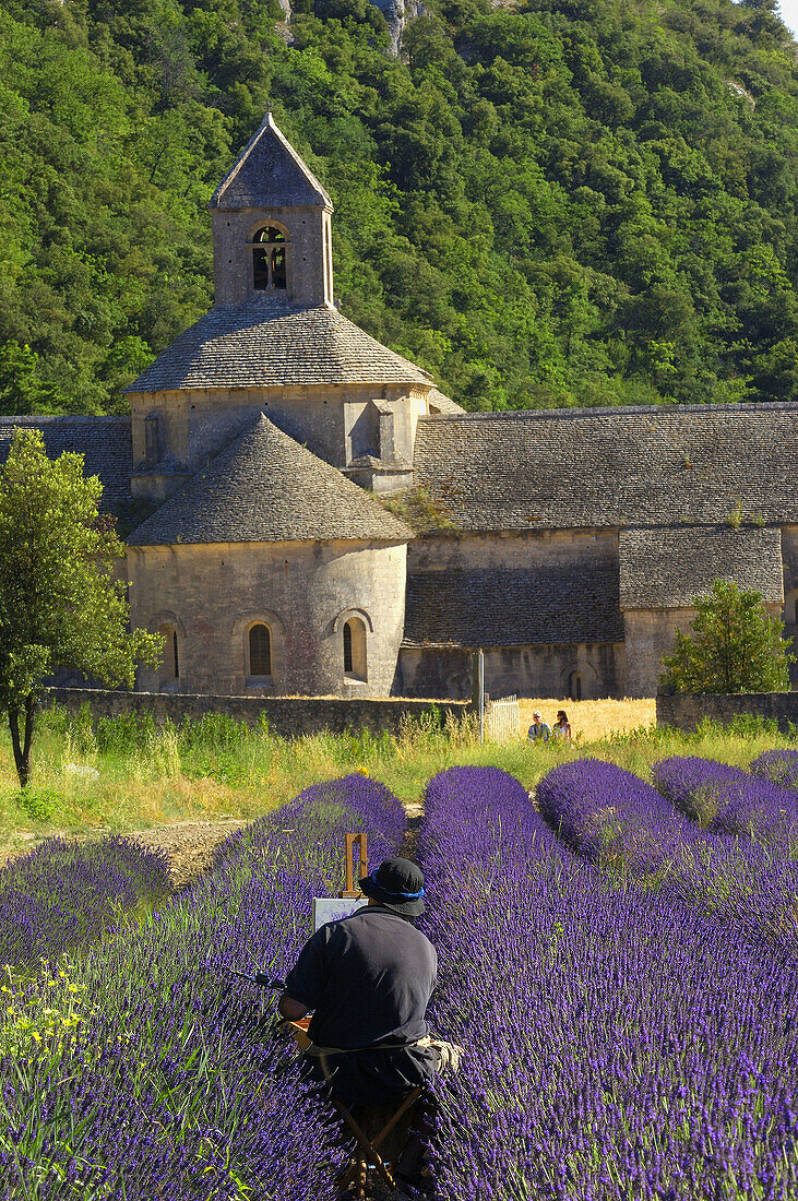 Artist painting Senanque abbey in the middle of at lavender field, Gordes, Vaucluse, Provence, France