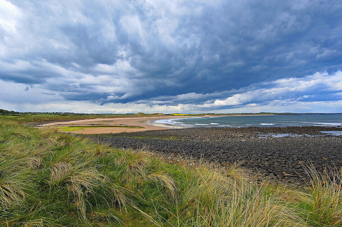 Embleton Bay near Dunstanburgh Castle, Northumberland, England, UK