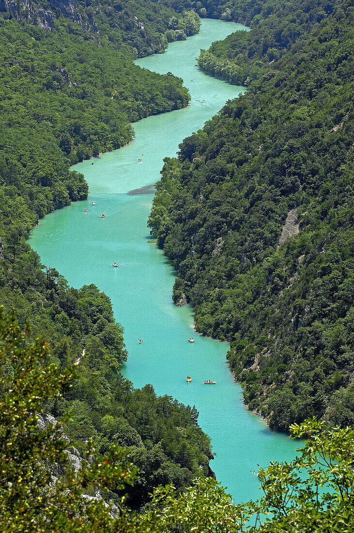 Gorges du Verdon, Verdon River canyon, Verdon Regional Natural Park, Provence-Alpes-Côte d´Azur, France
