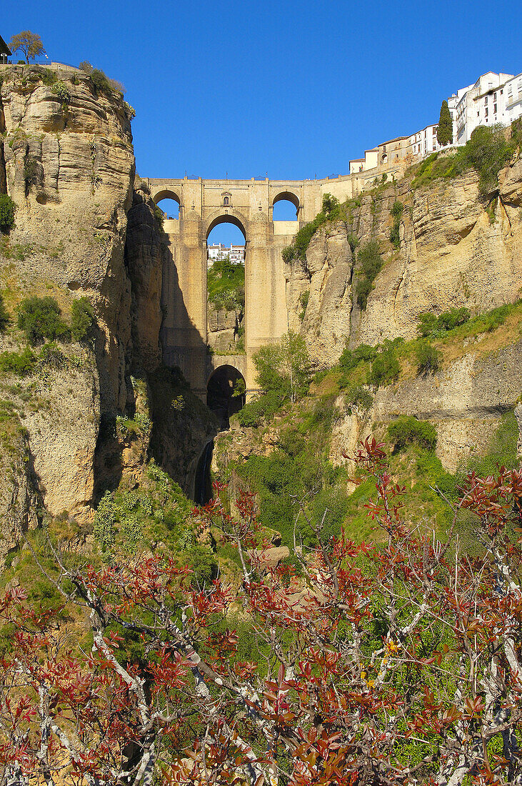 Puente Nuevo  new bridge) on ´tajo´ gorge, Ronda. Malaga province, Andalusia, Spain