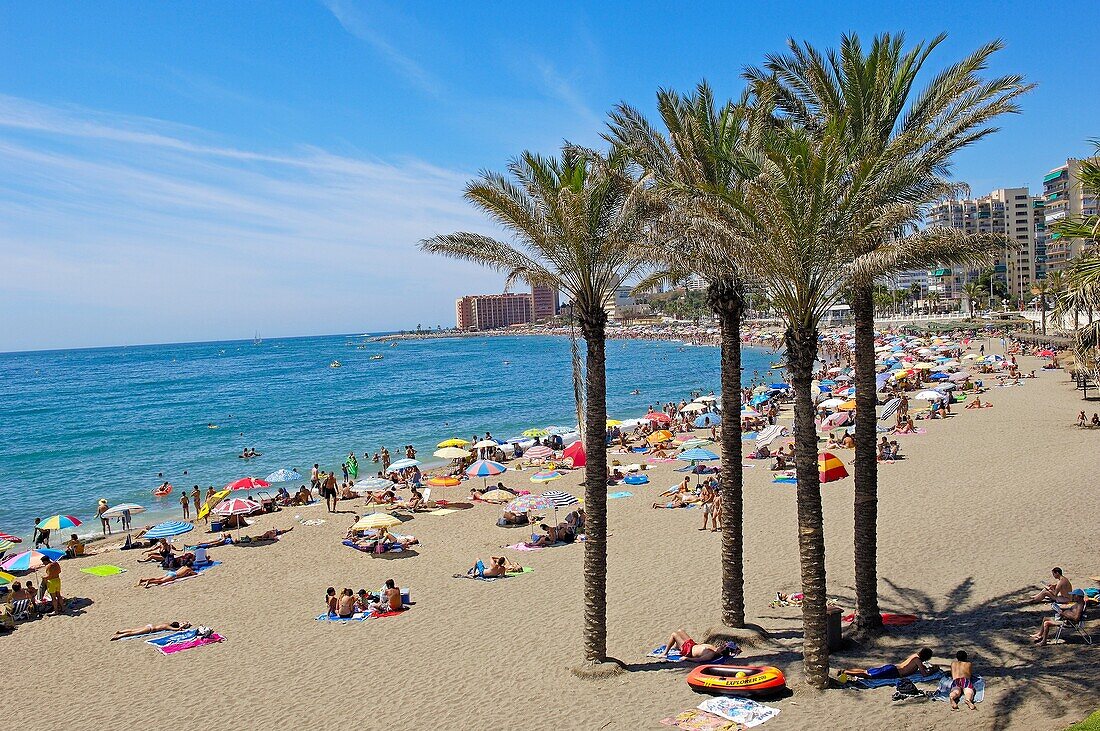 Beach in high season, Benalmadena. Costa del Sol, Malaga province, Andalusia, Spain