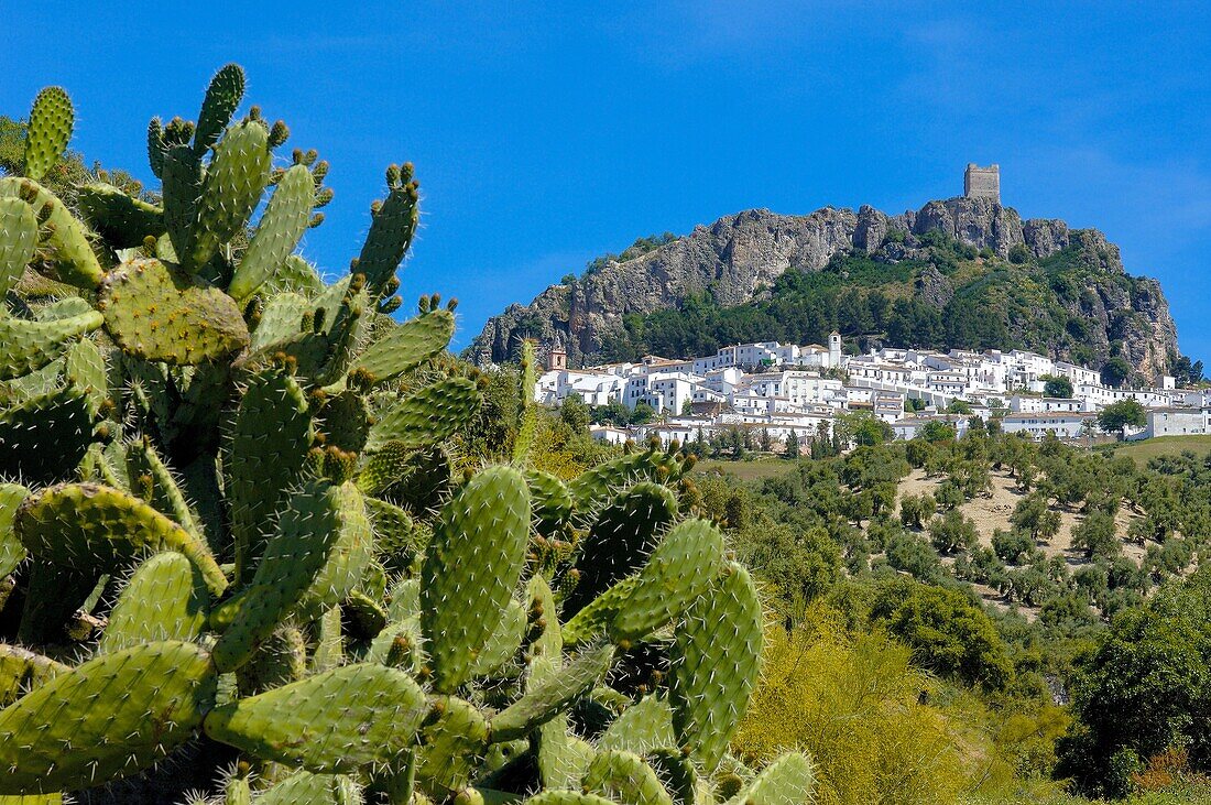 Zahara de la Sierra. White Towns of Andalusia, Cadiz province, Andalusia, Spain