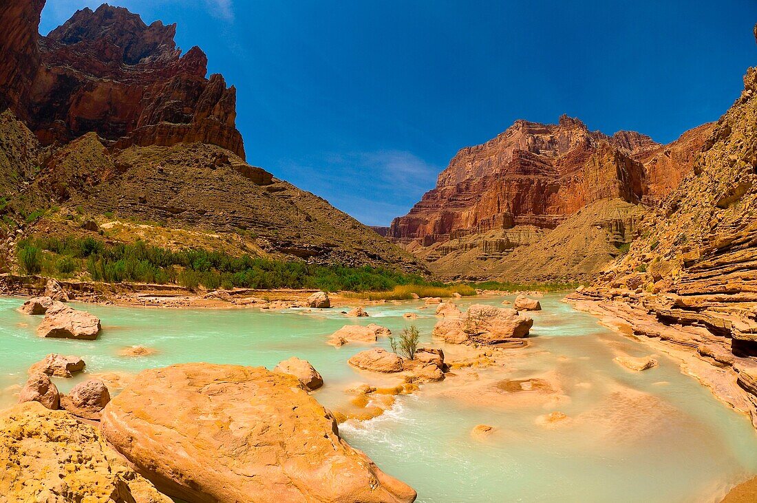 Little Colorado River at the confluence of the Colorado River, Grand Canyon National Park, Arizona USA