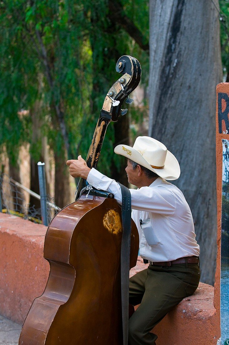 Man playing a bass, Parque de las Acacias, Guanajuato, Mexico
