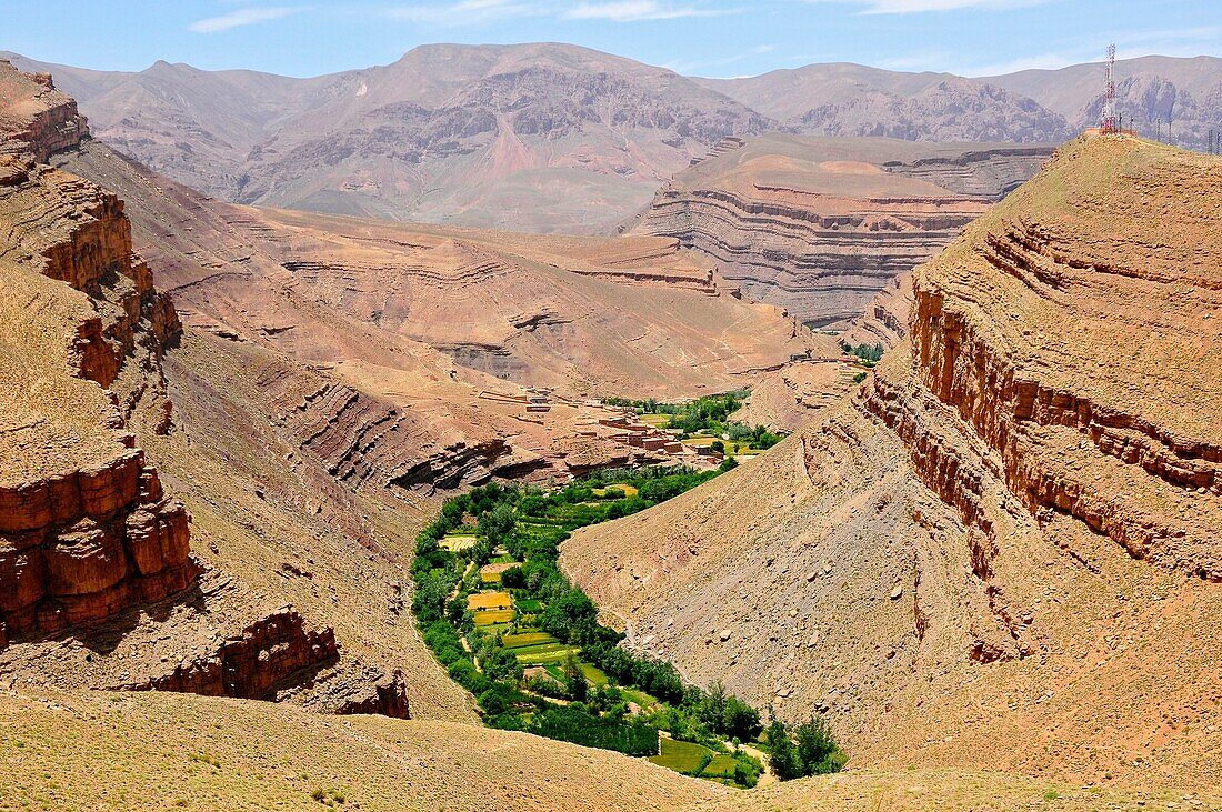 Maroc, Haut-Atlas, la vallée du Dadès, dites vallée des Kasbah, culture de céréales