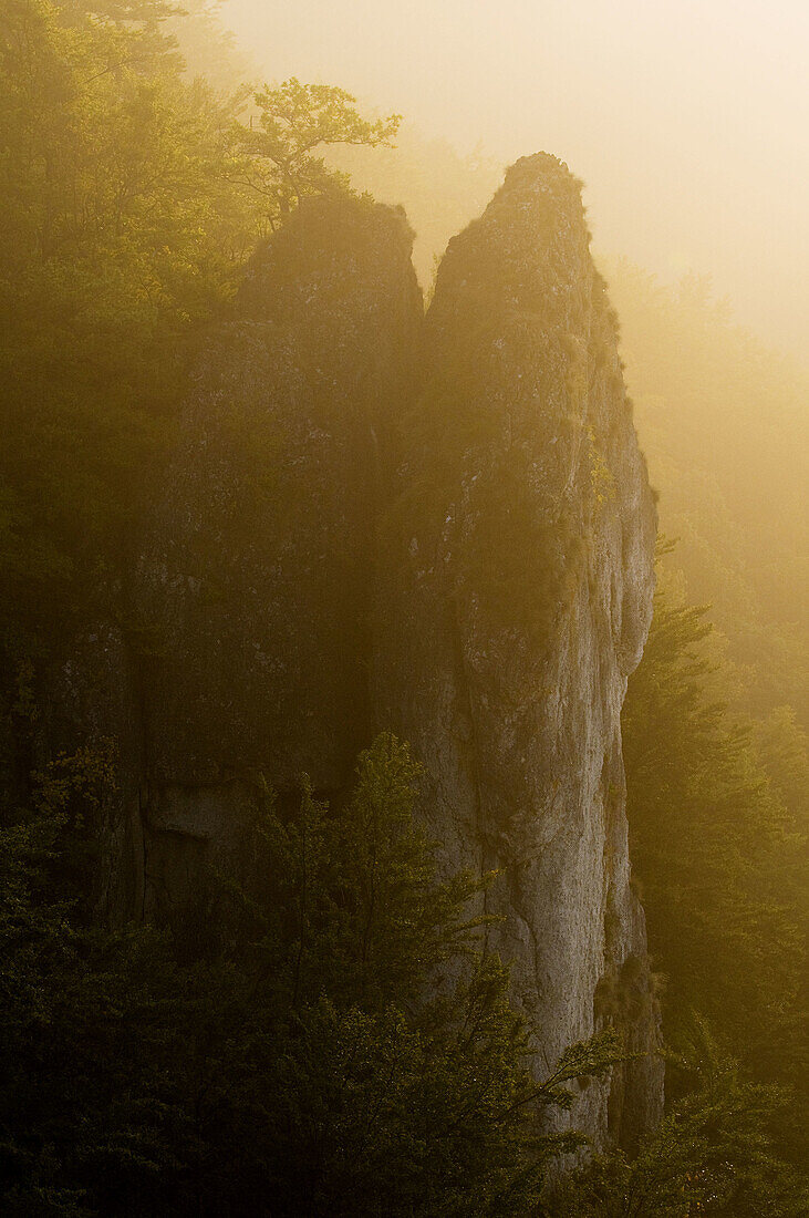 Jurassic rocks, pinnacles and deciduous forest, morning mist, middle range mountains in the Franconian Switzerland, Bavaria, Germany
