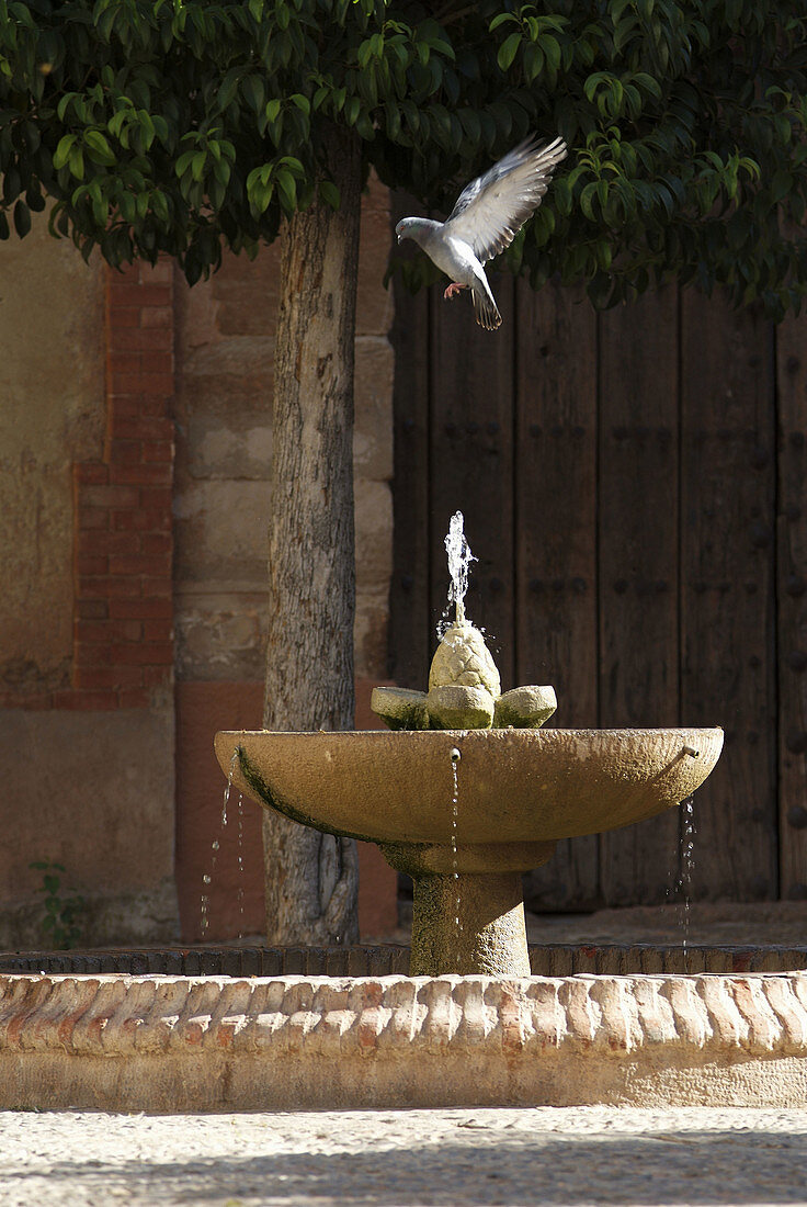 Detail of a fountain in Villanueva de los Infantes Ciudad Real, Spain.