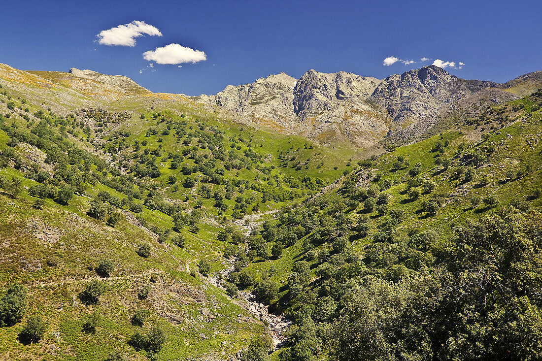 Garganta de Chilla. Sierra de Gredos. Castilla León. España.