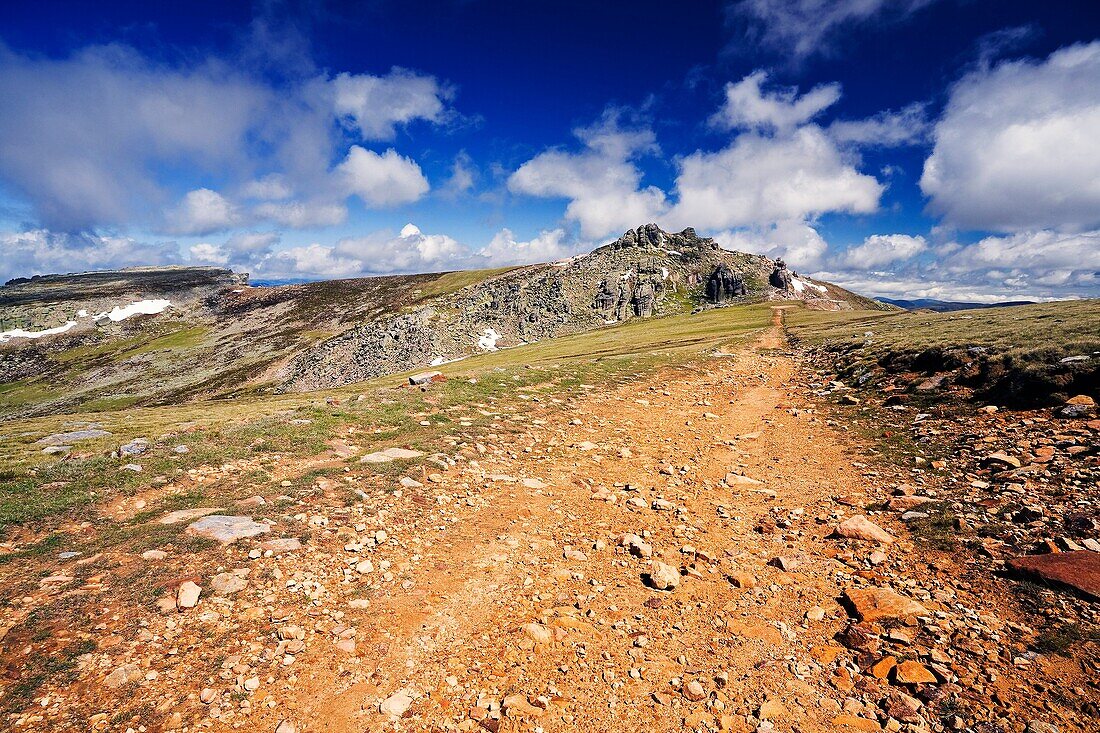 Camino del Pico de Urbión  Provincia de Soria  Castilla León  España