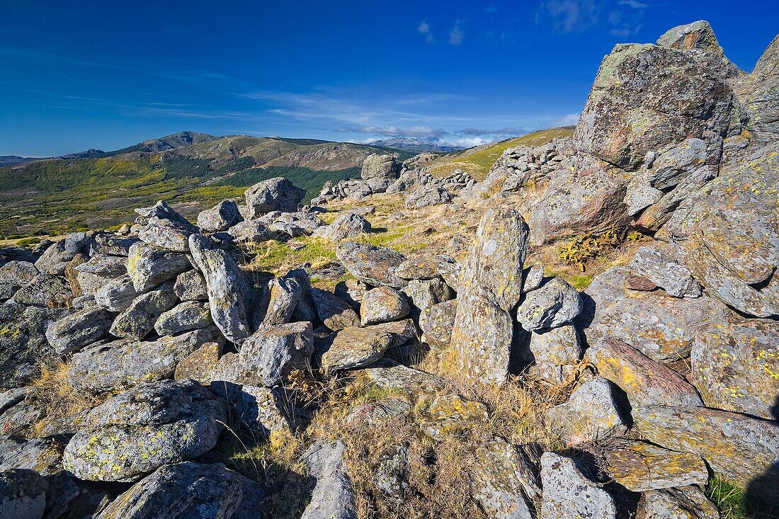 Sierra de Guadarrama desde La Albardilla en la Sierra de la Morcuera  Madrid