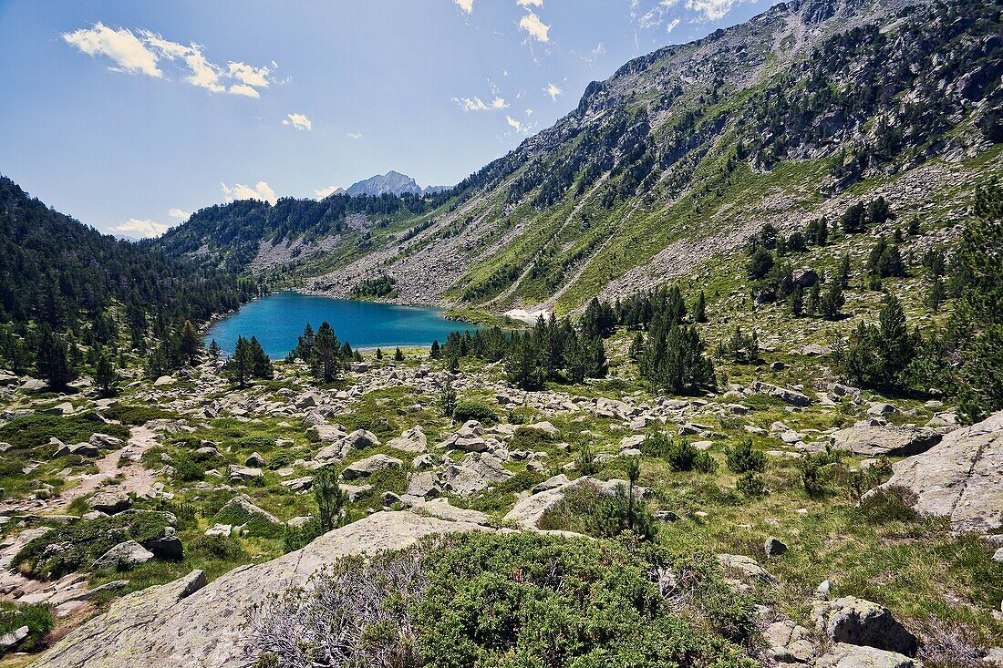 Les Laquettes  Reserva Natural de Néouvielle  Pirineo francés  Francia  Europa