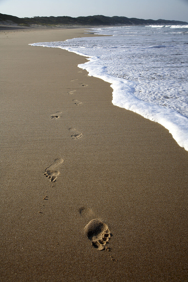 Foot prints on pristine beach of Maputalan coast near Rocktail Bay Lodge, Kosi Bay. KwaZulu Natal, South Africa