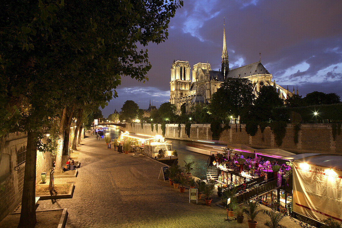 Night view of bank of River Seine with Notre-Dame cathedral in background, Paris. France