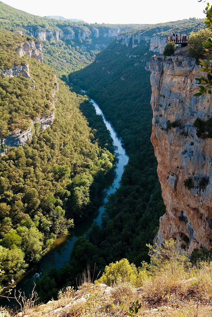 Cañón del rio Ebro  Burgos