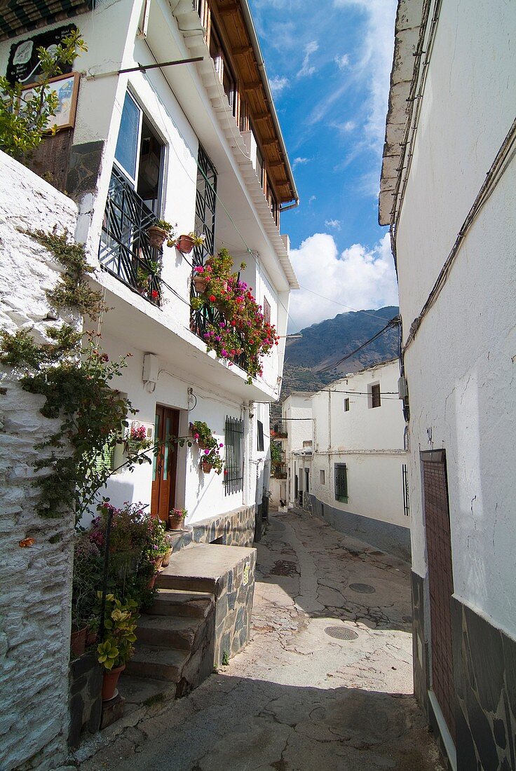 Capileira People in the Granada Alpujarra. Sierra Nevada. Granada. Andalucia. Spain.