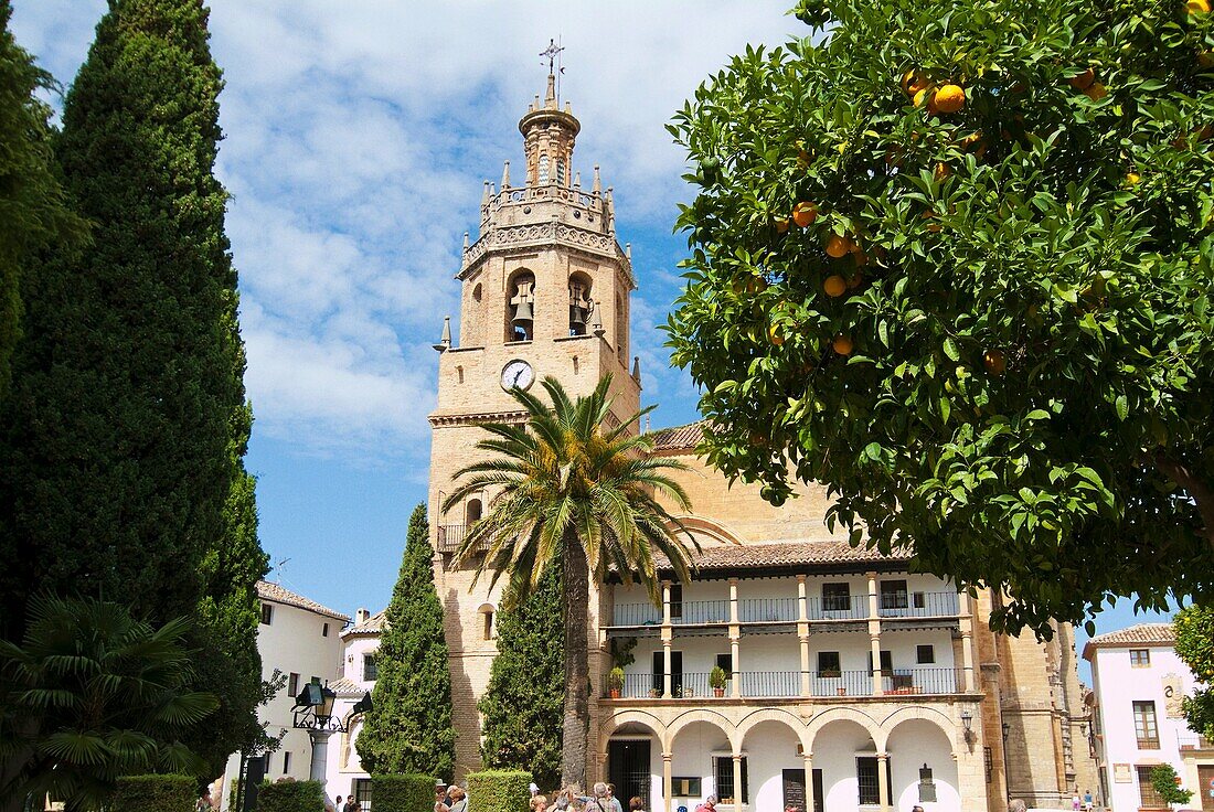 Church of Santa Maria la Mayor. Ronda. Malaga. Andalucia. Spain.