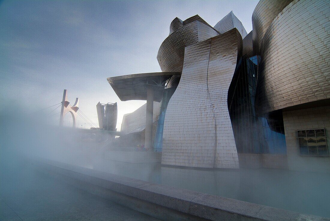 Museo Guggenheim  Bilbao  Vizcaya  Pais Vasco