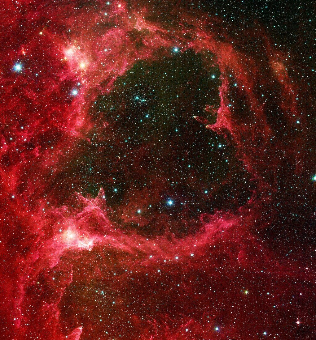 Generations of stars can be seen in this infrared portrait from NASA´s Spitzer Space Telescope  In this wispy star-forming region, called W5, the oldest stars can be seen as blue dots in the centers of the two hollow cavities  Other blue dots are backgrou