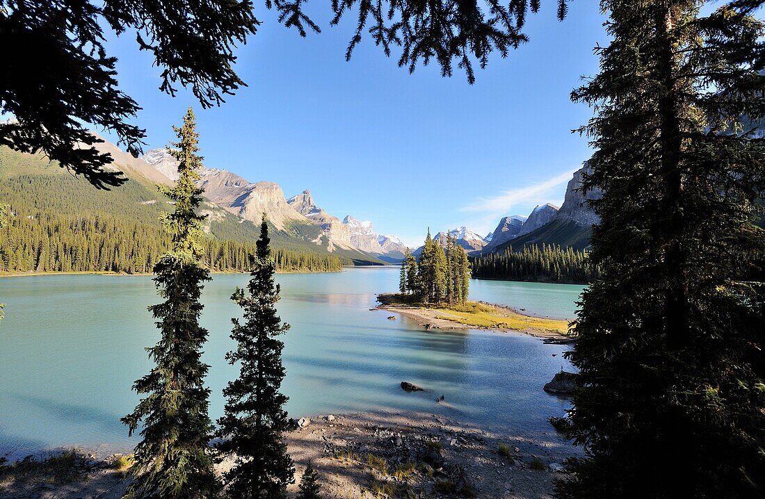 Spirit Island on Maligne Lake in Jasper National Park, Rocky Mountains, Alberta, Canada