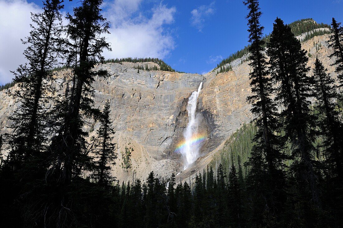 Takakkaw Falls and rainbow  Yoho National Park, Rocky Mountains, British Columbia, Canada