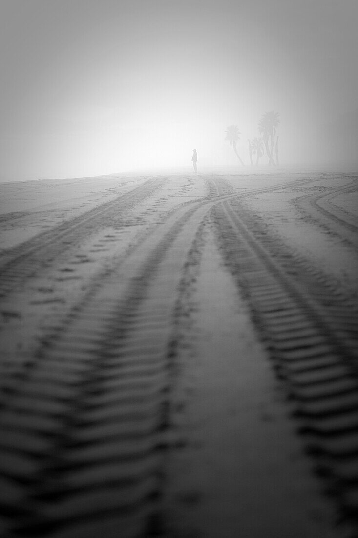 Silhouette in the fog on the beach