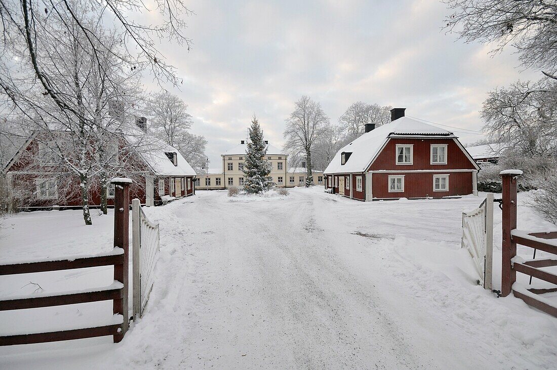 Manor house with wings in Swedish winter landscape  Christmas tree in fron of it