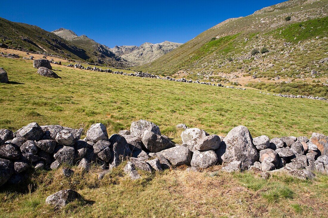 Cinco Lagunas Valley  Garganta del Pinar  Mountains of the Sierra de Gredos National Park  Zapardiel de la Ribera  Ávila  Castilla y León  Spain