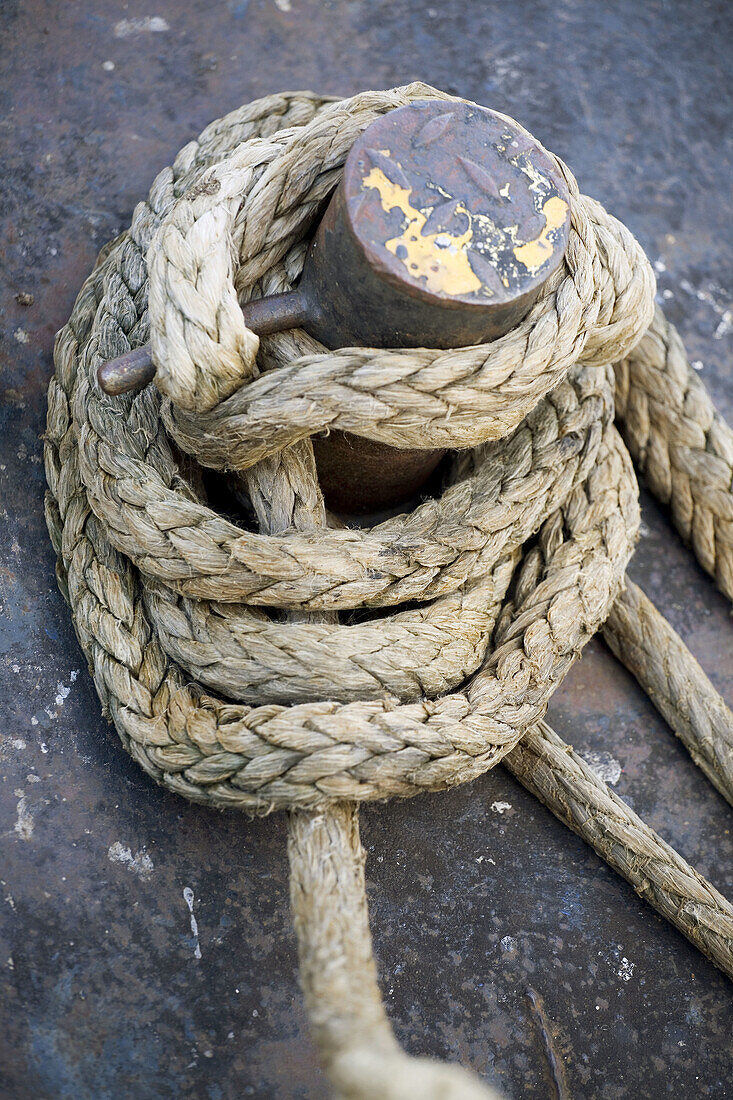 Rope on a fishing boat. Netherlands. Europe