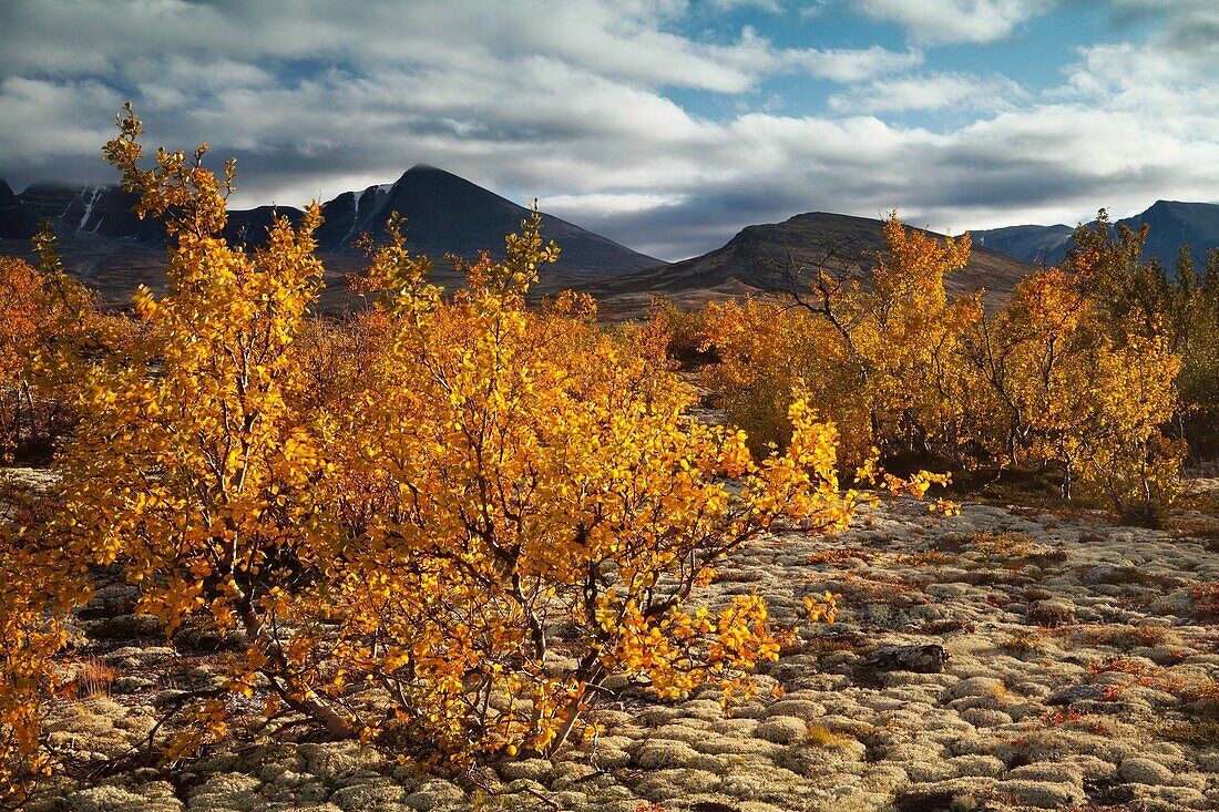 Photo Joergen Larsson Rondane Norway