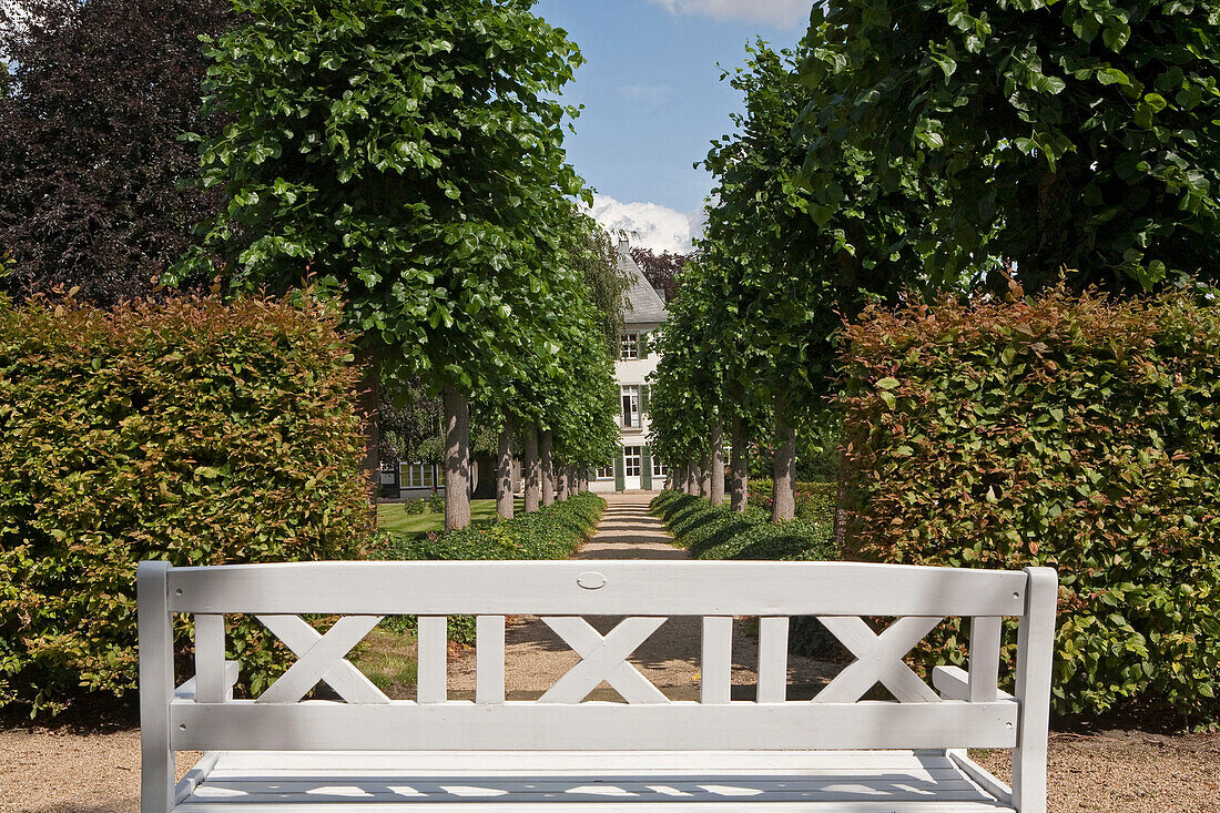 Lime tree alley, Borchers' garden, Goslar, Lower Saxony, Germany