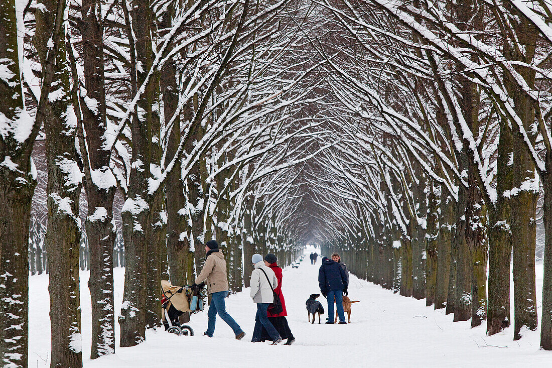 Spaziergänger in verschneiter Allee, Georgengarten, Herrenhäuser Gärten, Hannover, Niedersachsen, Deutschland